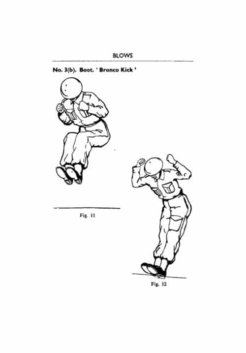 ALL-IN FIGHTING - Image 3