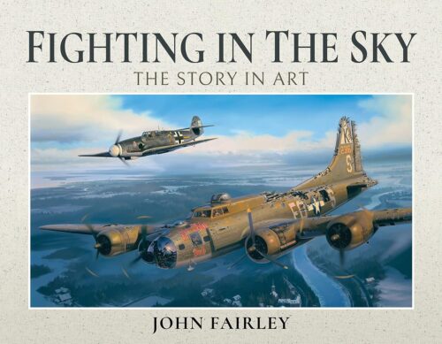 FIGHTING IN THE SKYThe Story in Art