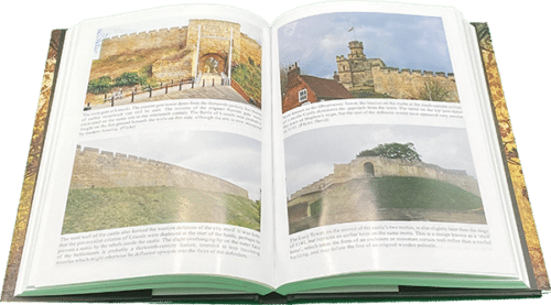 KING STEPHEN AND THE ANARCHY
Civil War and Military Tactics in Twelfth Century Britain - Image 3